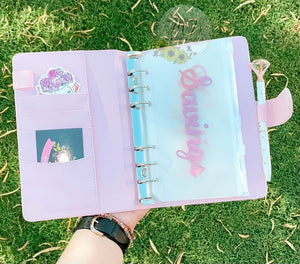 Babe On A Budget Budget Planner
